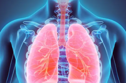 animación pulmones