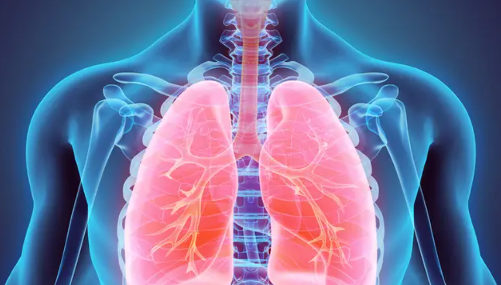animación pulmones